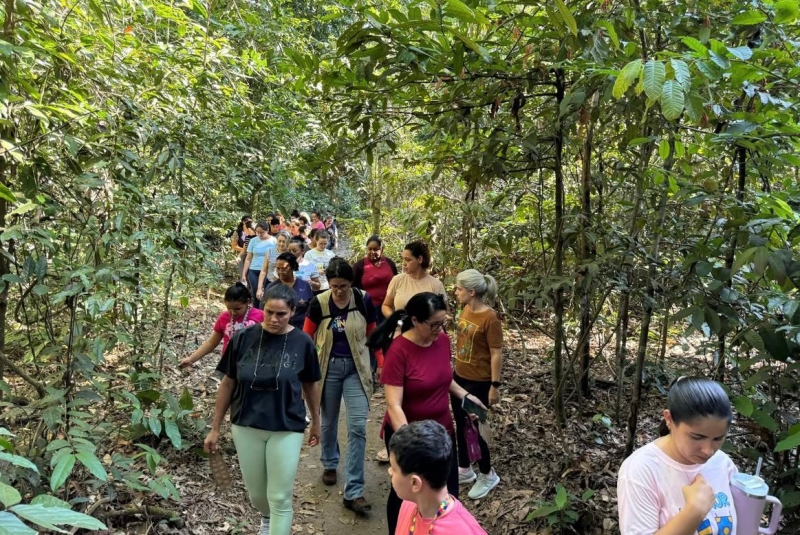 Prefeitura de Sinop realiza trilha pedagógica no Parque Florestal com professores da rede municipal