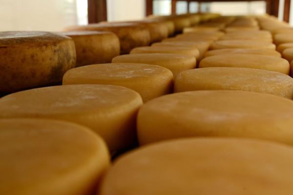 Indicação sugere programa municipal de apoio aos produtores artesanais 